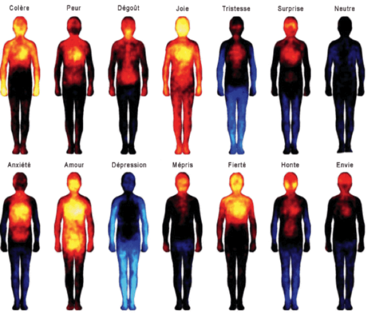 Tout passe par la corps - Sophrologie et Corporalité - Alexandre ...