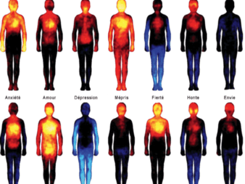 Image réactions corporelles émotions