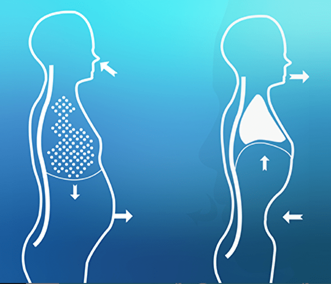 respiration abdominale 